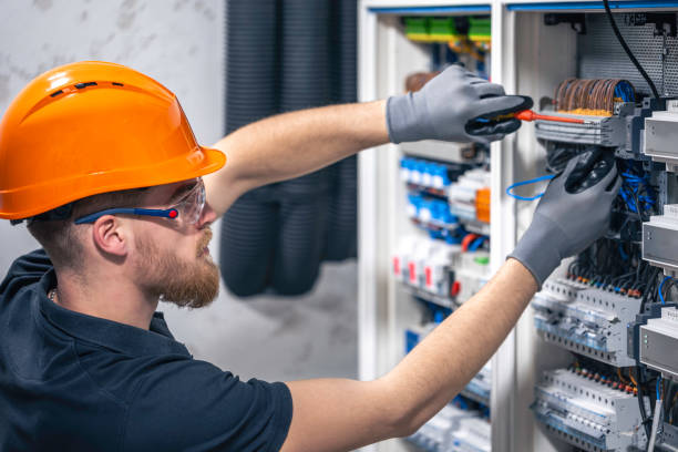 Best Electric Panel Repair  in Fallsburg, NY